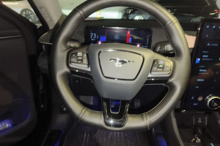 Used Ford Mustang Mach-E 2021 AION Y Plus Rear-Drive Luxury Edition (Long Range)