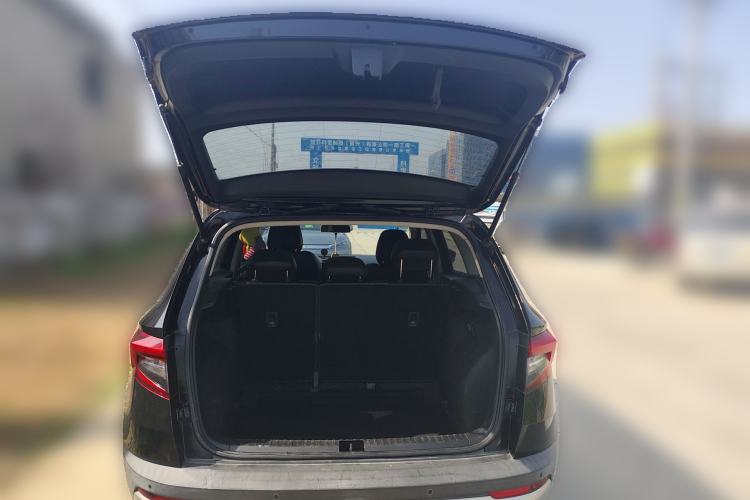 Used Skoda Karoq 2019 TSI280 Smart Drive Elite Edition China V Standard
