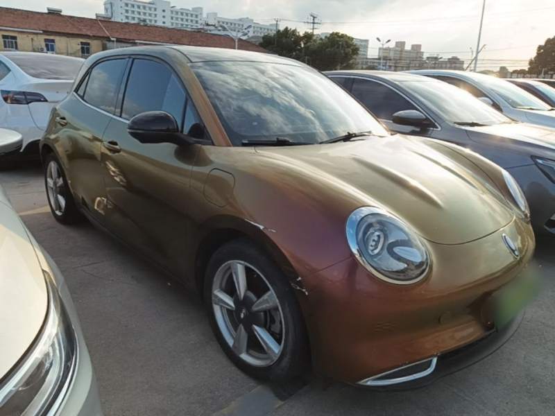 Used ORA Good Cat 2021 500km Long-Range Poseidon Edition Lithium-Ion Battery — 3