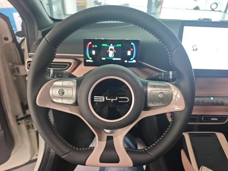 Used BYD Seagull 2023 Flying Edition — 10