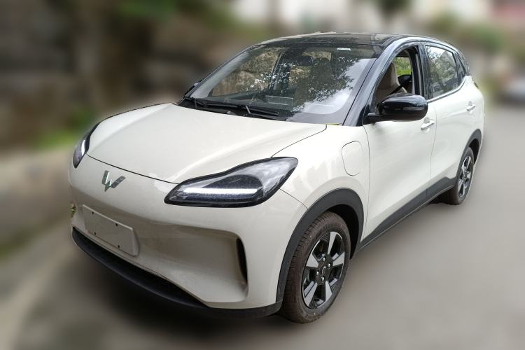 Used Wuling Bingo PLUS 2024 401 km Range 5-Seater Version