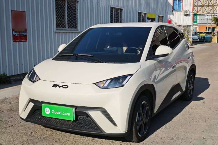 Used BYD Seagull 2025 305 km Free Version