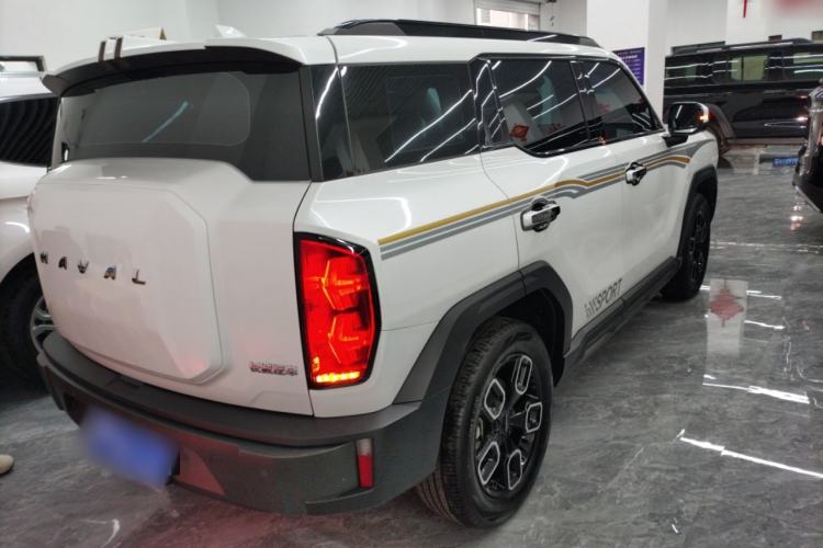 Used Haval X DOG 2022 1.5T DCT Two-Wheel Drive Trendy Edition
