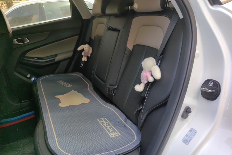 Used CHANGAN CS55PLUS 2022 2nd Generation 1.5T DCT Luxury Version Left Rear Seat