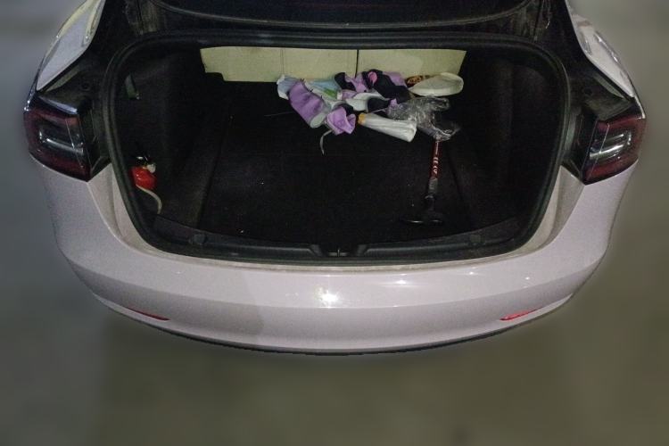 Used Tesla Model 3 2020 Standard Range Rear-Wheel Drive Upgraded Version