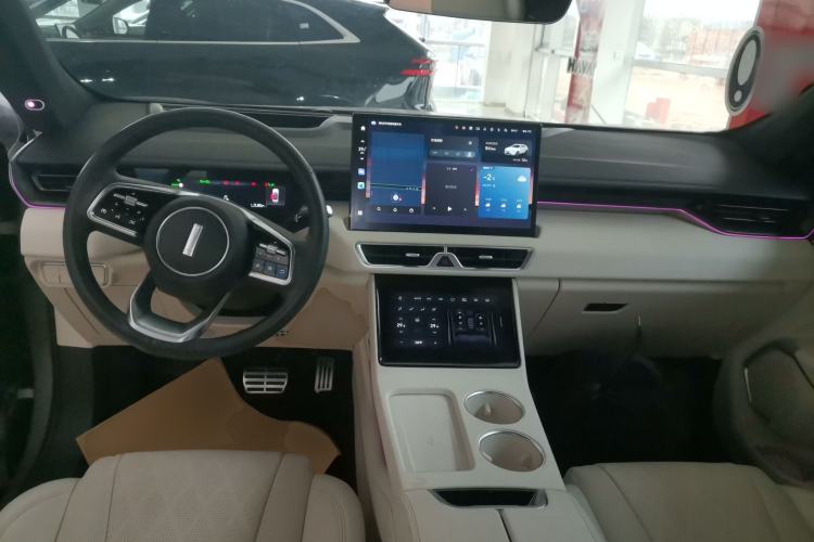 Used Wey Mocha New Energy 2023 Two-Wheel Drive Long-Range Version