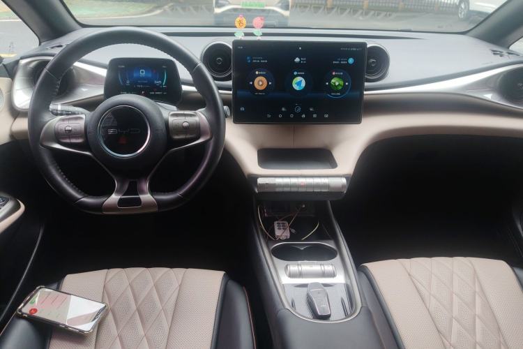 Used BYD Dolphin 2021 405 km Fashion Edition Center Console