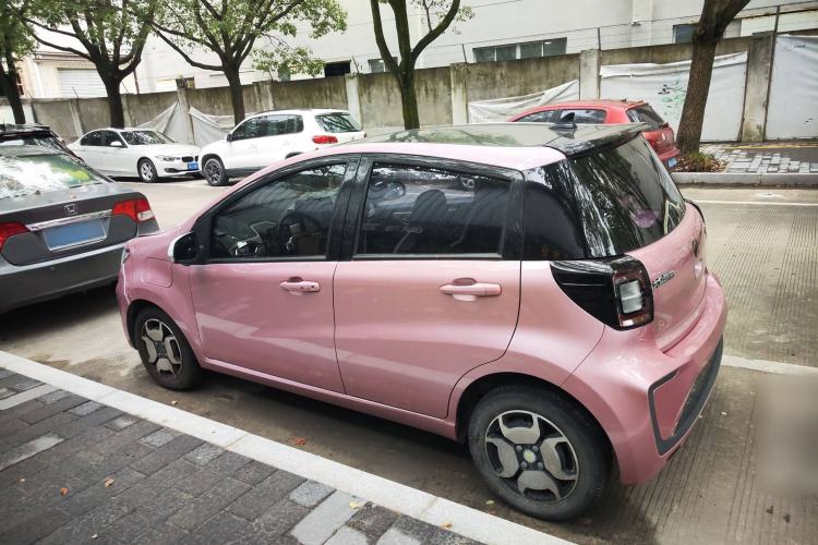 Used SOL E10X 2022 Flower Fairy Style Baby's Breath