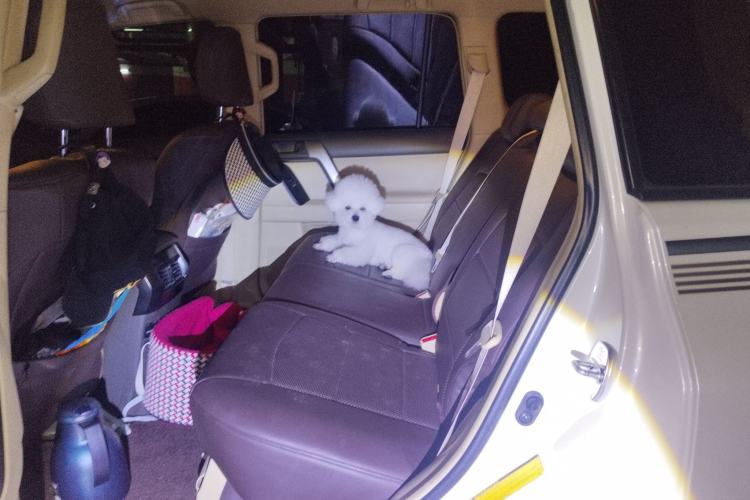 Used Toyota Prado 2016 2700 Middle East Version