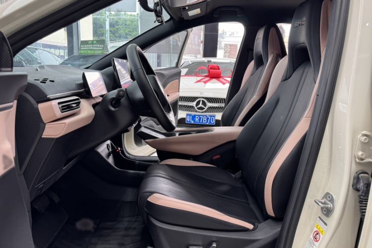 Used BYD Seagull 2023 Flying Edition Left Front Seat