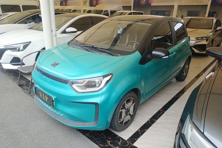 Used SOL E10X 2022 Flower Fairy Style Baby's Breath