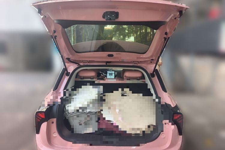 Used NETA V 2021 Witch Edition Trunk