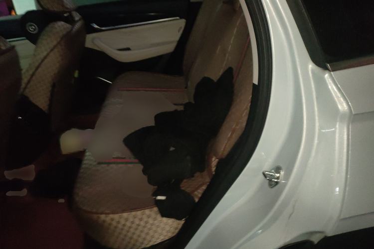 Used Geely Auto Monjaro L 2022 1.5T Leishen Hi·F Plug-in Hybrid Super Xun Left Rear Seat