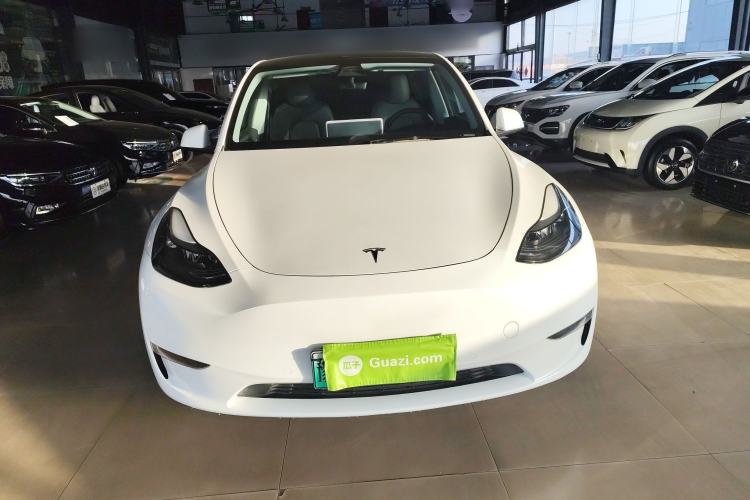 Used Tesla Model Y 2021 Standard Range Rear-Wheel Drive Version
