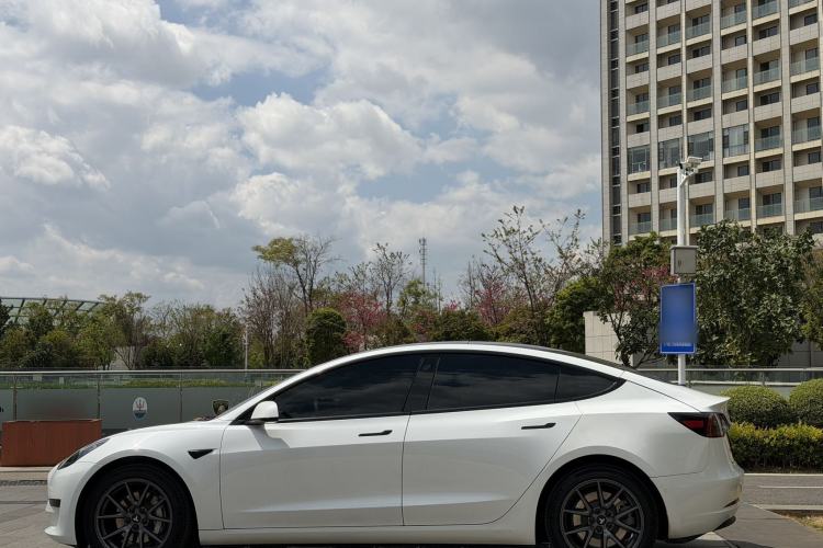 Used Tesla Model 3 2021 Standard Range Rear-Wheel Drive Upgraded Version 3D6
