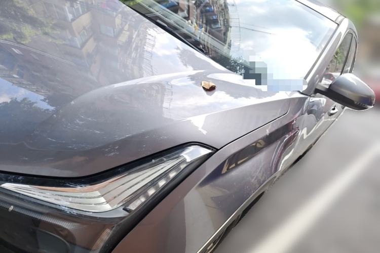 Used NETA U 2021 Pro 400 Cruiser Edition