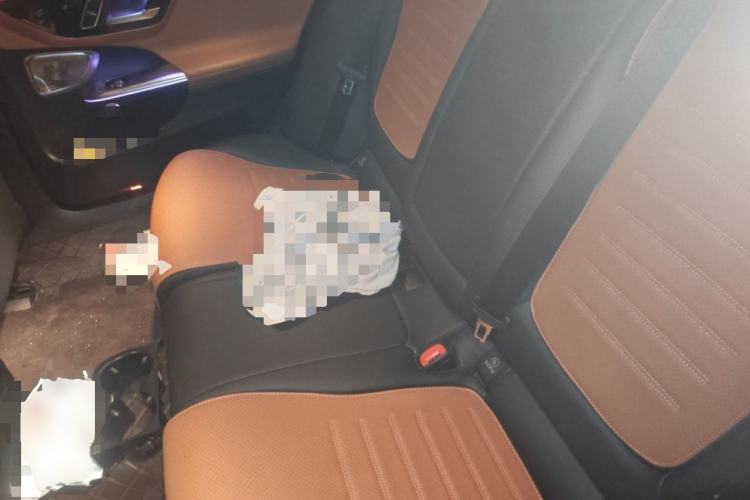 Used Mercedes-Benz C-Class 2022 C 260 L Obsidian Night Sport Edition Left Rear Seat