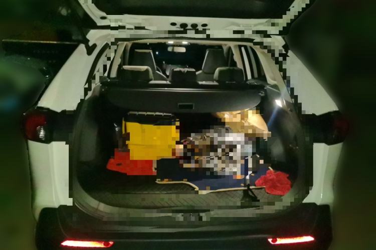 Used Toyota RAV4 2024 2.0L CVT Two-Wheel Drive Urban Edition Trunk