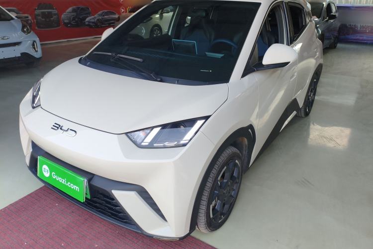 Used BYD Seagull 2024 Honor Edition 305km Freedom Version