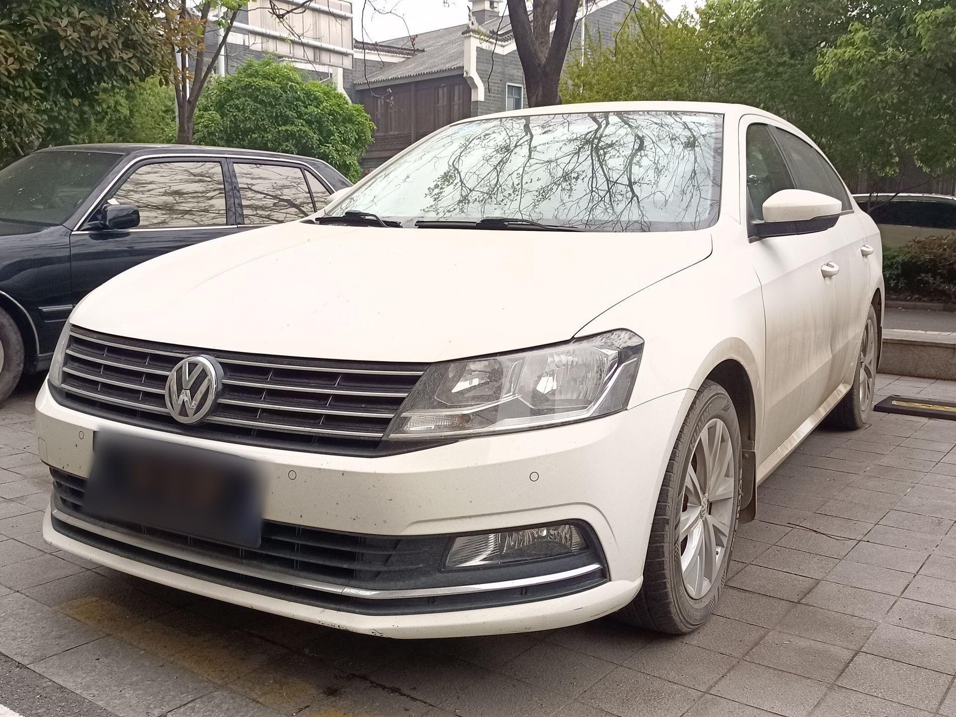 Parte inferior delantera