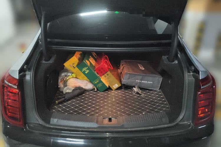 Used Hongqi H9 2020 2.0T Smart Connect Flagship Edition
