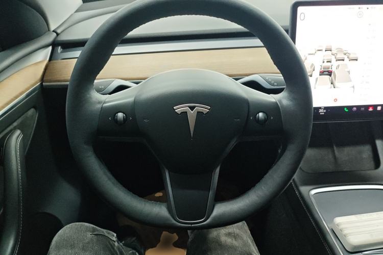 Used Tesla Model Y 2021 Long-Range All-Wheel-Drive Version
