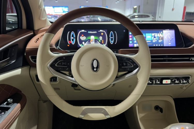 Used ORA Good Cat 2022 400km Standard Range Luxury Version Lithium Iron Phosphate