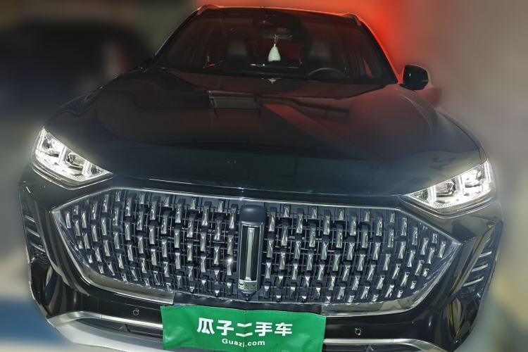 Used Wey Mocha 2021 2.0T Two-Wheel-Drive Ultra-Strong Version Front