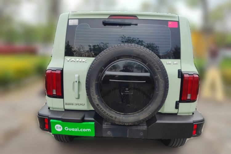 Used Tank 300 2021 City Edition 2.0T—Truly Stylish Rear