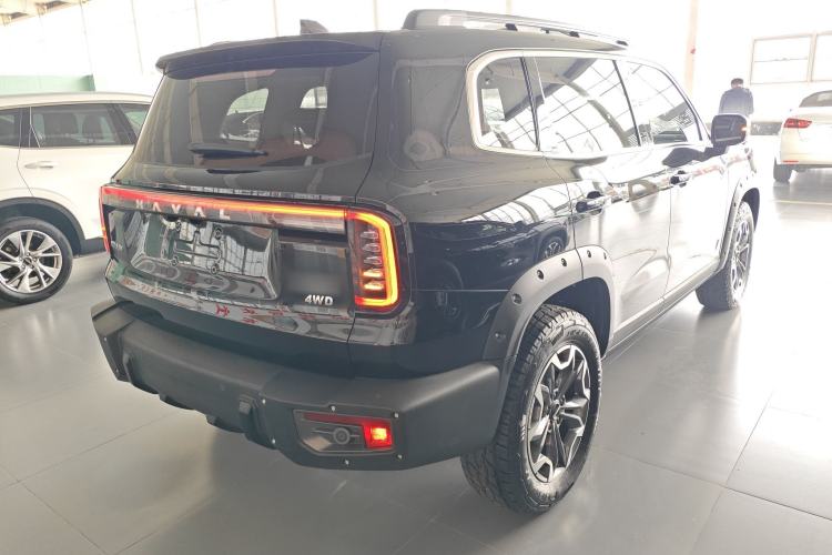 Used Haval DARGO 2024 2.0T DCT Chinese Rural Dog Edition
