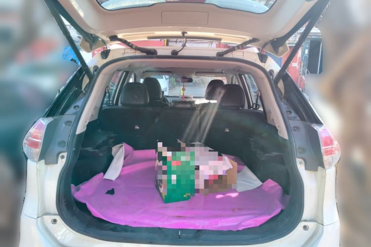 Used Nissan X-Trail 2014 2.5L CVT Ultimate Edition 4WD
