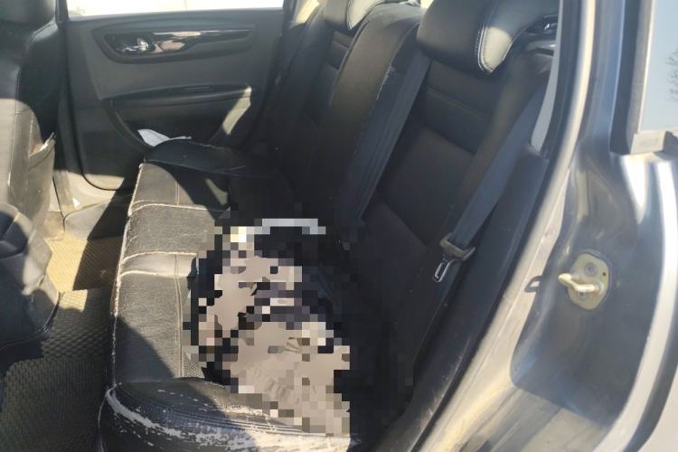 Used Citroen C-Quatre 2013 1.6L Manual Prestige CNG Model Left Rear Seat