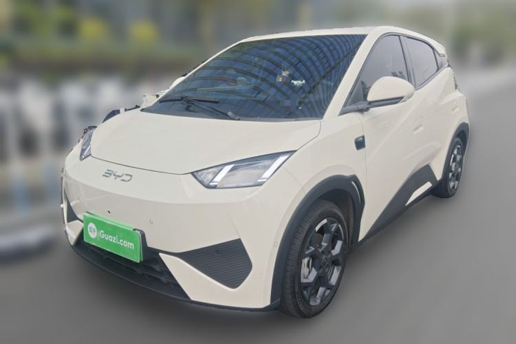 Used BYD Seagull 2025 Smart Drive Version 305 km Freedom Edition