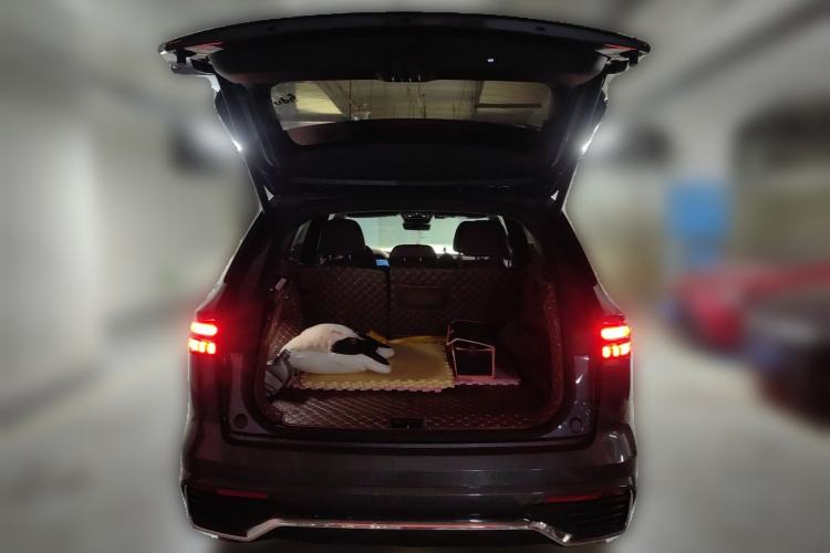 Used Geely Auto Monjaro L 2021 2.0TD DCT EVO Two-Wheel Drive Prestige Version