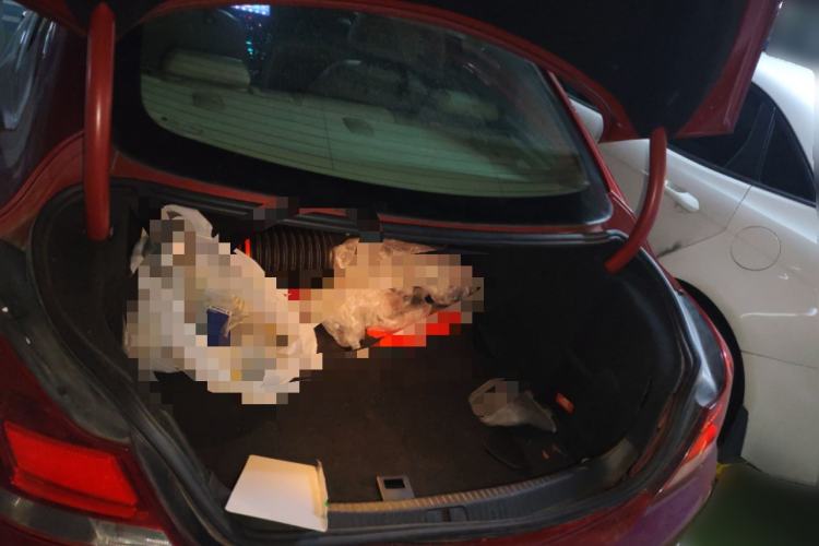 Used Buick Regal 2012 2.0L Luxury Edition