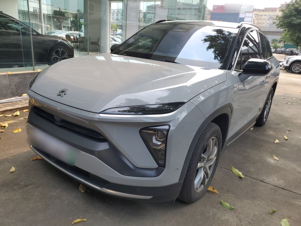 Parte inferior delantera