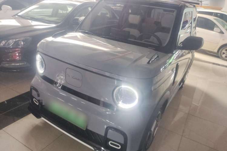Used Geely Auto Panda 2024 200km Panda Kart