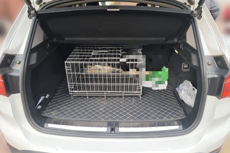 Used BMW X1 2018 sDrive18Li Fashion Model