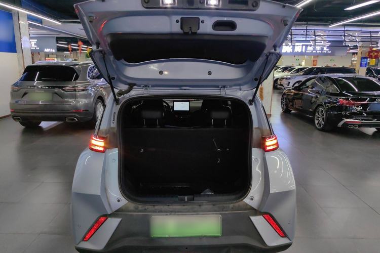 Used BYD Seagull 2025 305 km Free Version