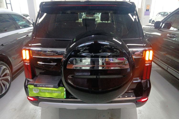 Used Tank 500 New Energy 2023 Hi4-T
