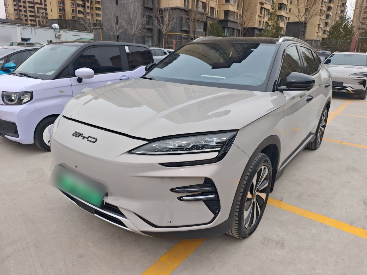 تحت مقدمة السيارة