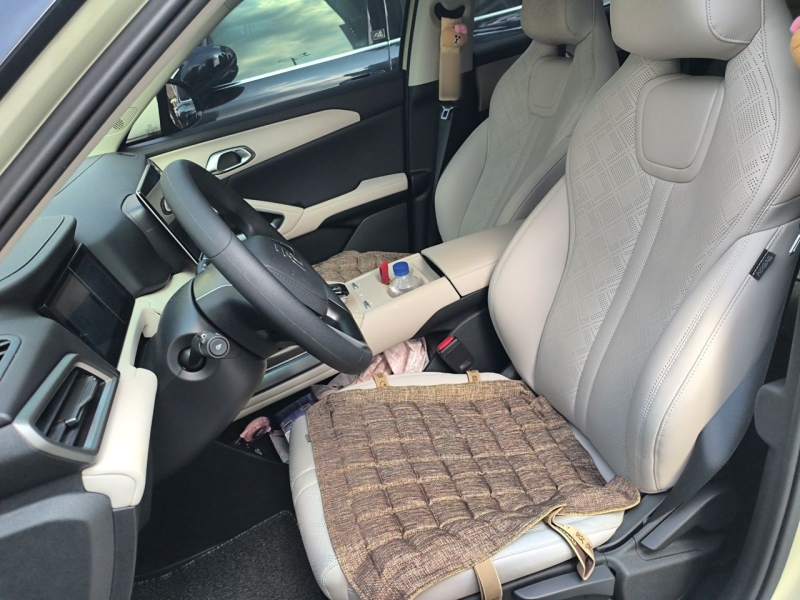Used BYD Yuan UP 2024 401 km Active Version — 12