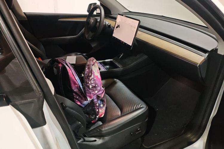 Used Tesla Model Y 2022 Revised Version Long-Range All-Wheel Drive
