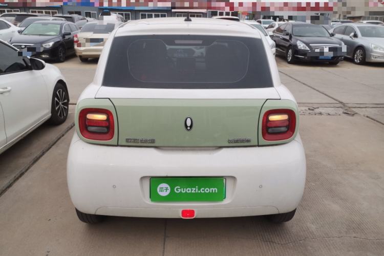 Used ORA Black Cat 2022 301km Base Version Ternary Lithium
