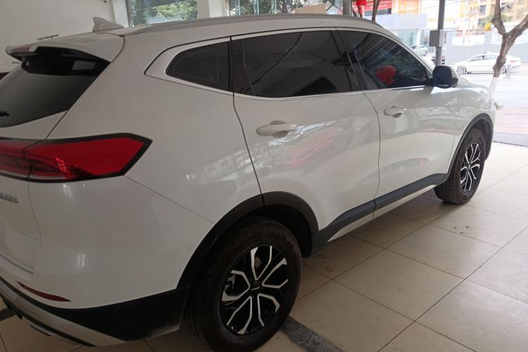 Used Haval H6 2023 National Trend Edition 1.5T Automatic Urban Version
