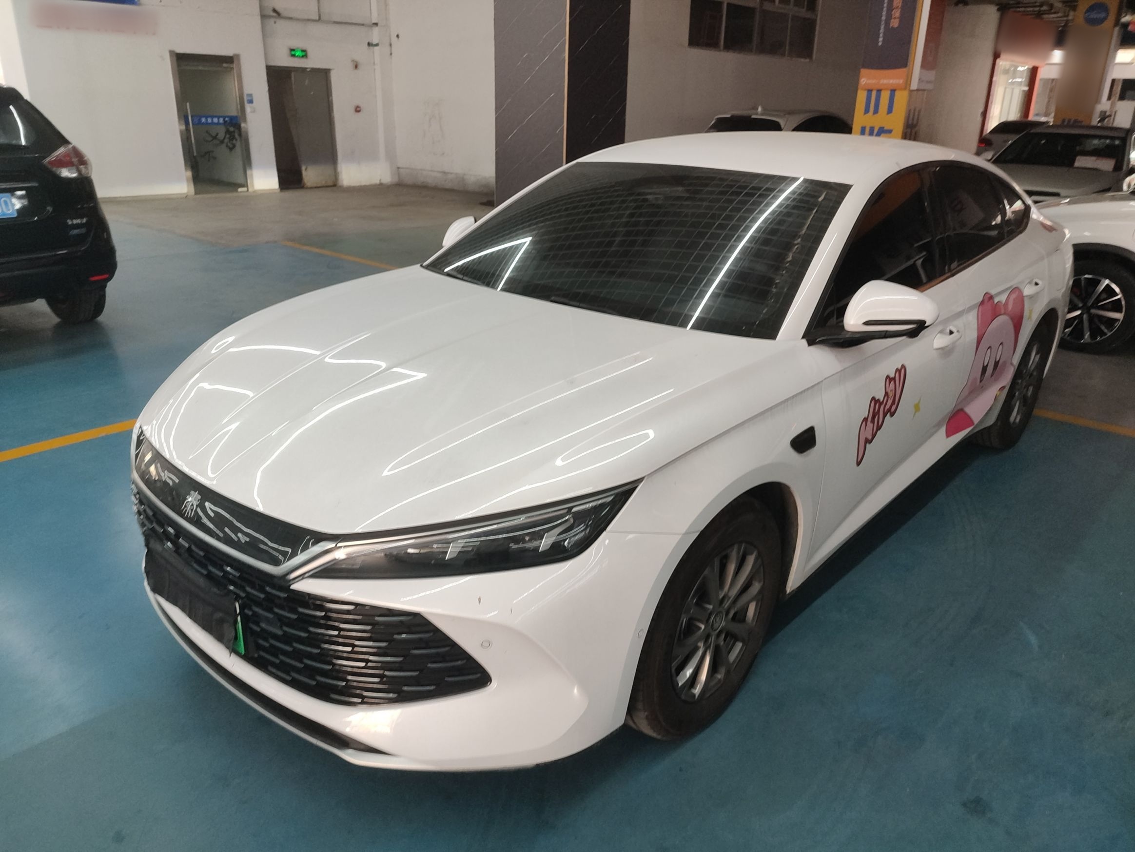 Parte inferior delantera