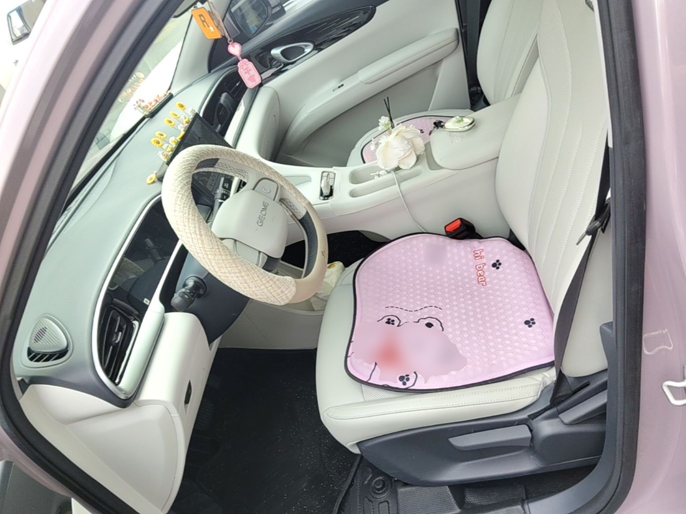 Geely Galaxy Geome 2025 310km Youth Edition — снимка 17