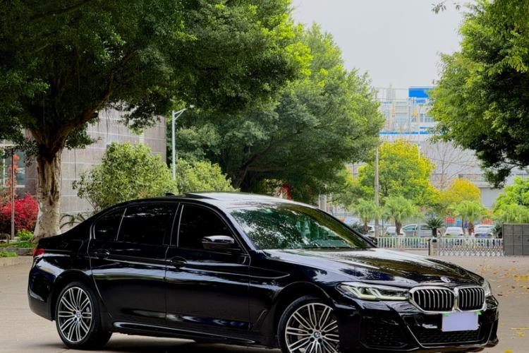 Used BMW 5 Series 2019 530Li Luxury Edition M Sport Package