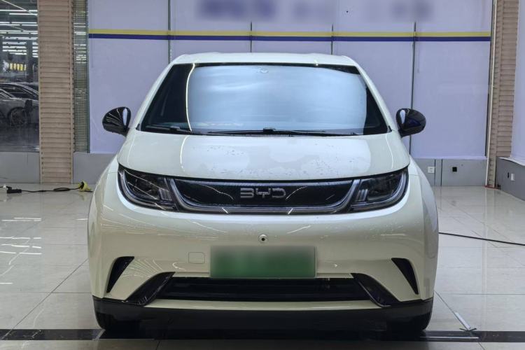 Used BYD Dolphin 2025 420km Free Edition
