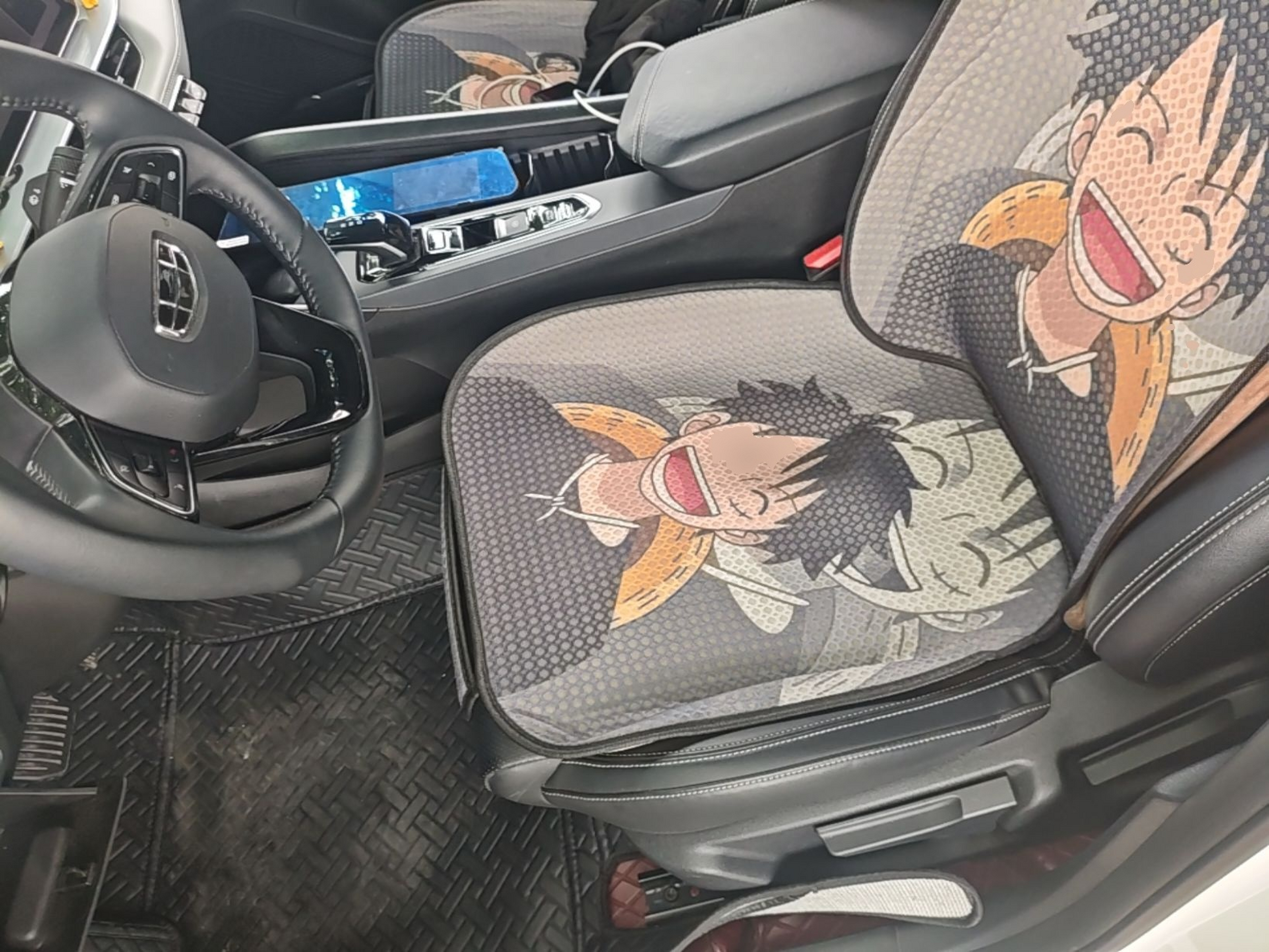 Interior delantero